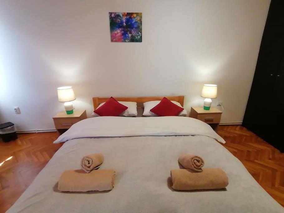 Cozy 1-Bdrm Apt In Dubec, Ideal For Work Or Study Sesvete Exterior photo